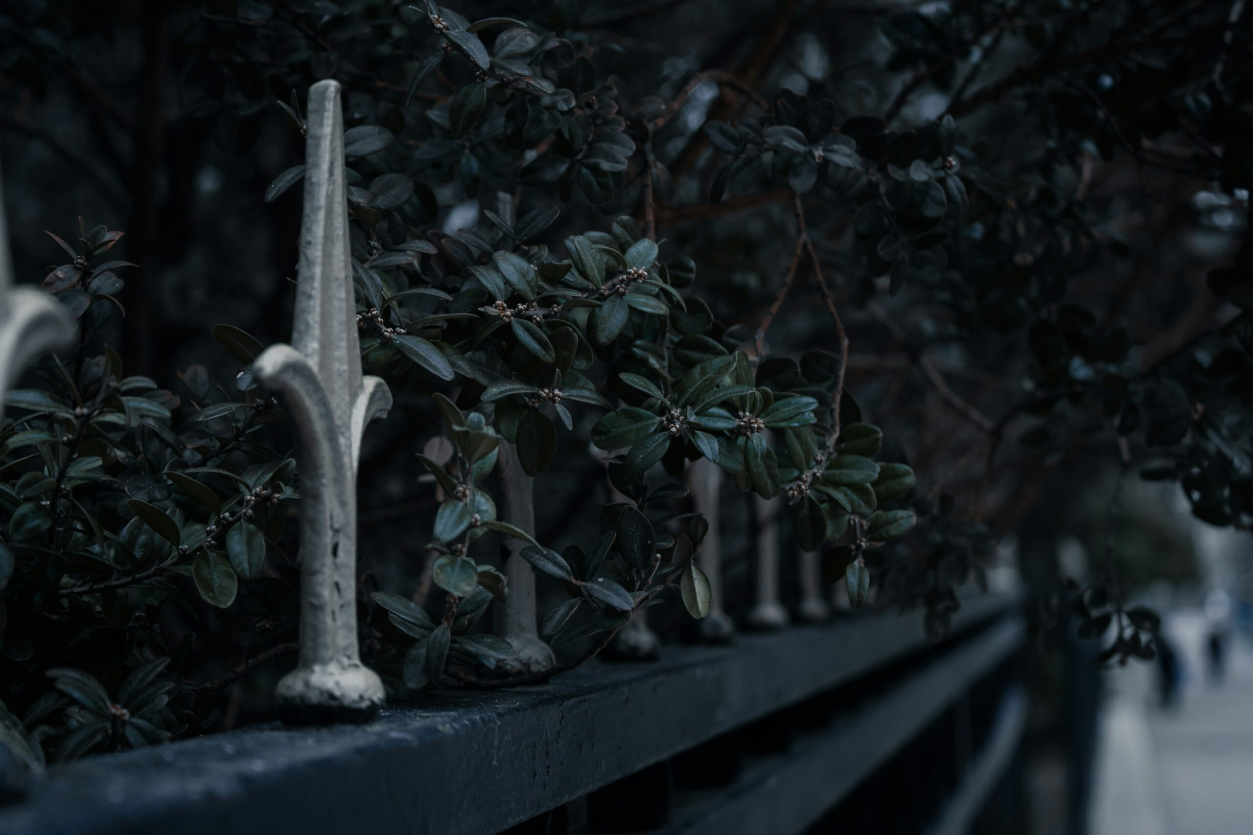 Justin Bieber Shares Thought-Provoking DMX Clip Amid Faith, Family, and Album Buzz